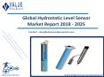 Hydrostatic Level Sensor Market Outlook and Forecast up to 2025 PowerPoint PPT Presentation