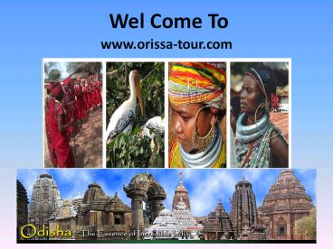 Have a Tour Plan and Make your Day Enjoyable!