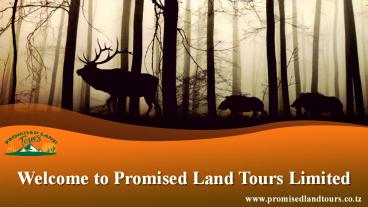 Welcome to promised land tours limited