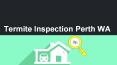 Timber Pest Inspection Perth - Prompt Building Inspections WA PowerPoint PPT Presentation