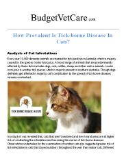 Tick-borne Disease In Cats