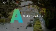 Lake Cleaning Services - A & B Aquatics