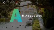 Lake Cleaning Services - A & B Aquatics (1)