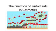 The Function of Surfactants in Cosmetics