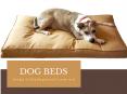 Dog Beds PowerPoint PPT Presentation