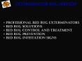 Exterminator Bug Services PowerPoint PPT Presentation