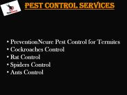 Pest Control Services