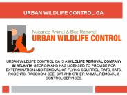 Wildlife Removal Services in Atlanta