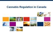 Grow Marijuana For Medical Purposes In Canada