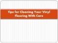 Tips for Cleaning Vinyl Flooring PowerPoint PPT Presentation