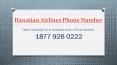Make Traveling Fun at Hawaiian Airlines Phone Number