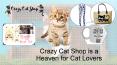 Top-Rated Cat Themed Gift Ideas for Your Feline-Loving Friends and Loved Ones PowerPoint PPT Presentation