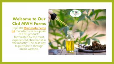 High Superiority CBD oil & More