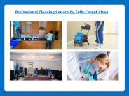 Cleaning services by Fully Carpet Clean