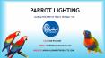 Buy Parrot Lighting and Bulbs Online – All Parrot Products