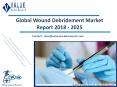 Wound Debridement Market Outlook and Forecast up to 2025 PowerPoint PPT Presentation
