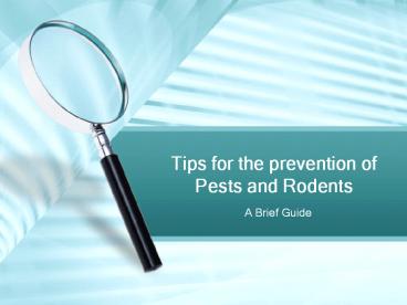 Tips for the prevention of pests and rodents