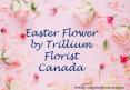 Easter Flowers by Trillium Florist, Inc PowerPoint PPT Presentation