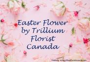 Easter Flowers by Trillium Florist, Inc