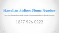 The best destinations waits for you at Hawaiian Airlines Phone Number