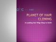 How to Treat Your Baldness at Planet of Hair Cloning A leading Shop for Hair Wigs in Delhi PowerPoint PPT Presentation