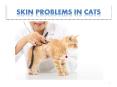 Common Skin Problems in Cats PowerPoint PPT Presentation