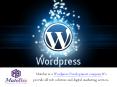 Benefits of working With a professional WordPress Development Company PowerPoint PPT Presentation