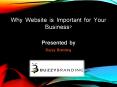 Why Website Is Important For Your Business PowerPoint PPT Presentation