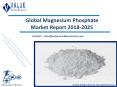 Magnesium Phosphate Market: Global Industry Analysis and Forecast to 2025 PowerPoint PPT Presentation