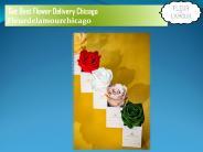 Get Best flower delivery Chicago (1)