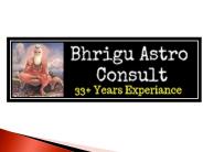 Palmistry Services in Delhi
