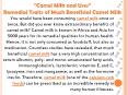 Benefits & Uses of Camel MIlk | Camel Milk Dairy | Amul Camel Milk