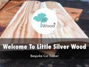 Detail Presentation About Little Silver Wood