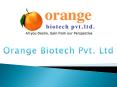 PCD Pharma Franchise Company - Orange Biotech (1) PowerPoint PPT Presentation