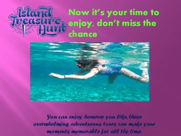 Swim with pigs nassau by island treasure hunt