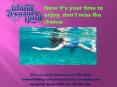 Swim with pigs nassau by island treasure hunt PowerPoint PPT Presentation