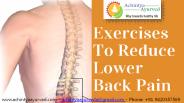 Exercises for Lower Back Pain Relief