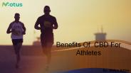 Benefits Of  CBD For Athletes (2)