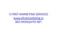 Bed mosquito net PowerPoint PPT Presentation