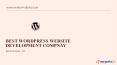 Best Wordpress Website Development Company PowerPoint PPT Presentation