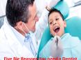 Five Big Reasons You need a Dentist PowerPoint PPT Presentation