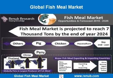 Global Fish Meal Market Size