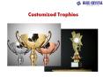Customized Trophies PowerPoint PPT Presentation