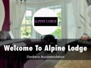 Detail Presentation About Alpine Lodge Guest House