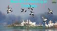 Best Bird Watching in Thekkady (1) PowerPoint PPT Presentation