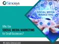 Use Social Media Marketing for Small Businesses PowerPoint PPT Presentation