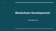 Blockchain Development Company