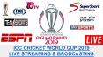 ICC Cricket World Cup 2019 Live Streaming & Broadcasting Rights PowerPoint PPT Presentation
