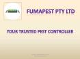 Melbourne's Trusted Pest Controller PowerPoint PPT Presentation