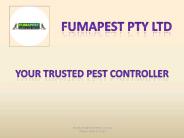 Melbourne's Trusted Pest Controller